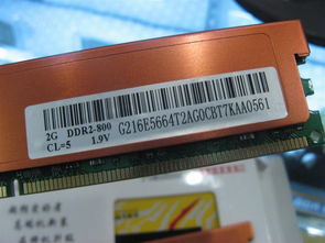 金邦2G DDR2 800 白金条 内存产品图片4素材 IT168内存图片大全
